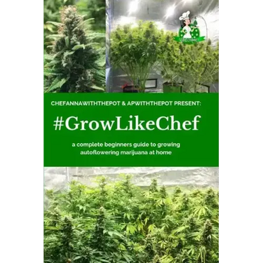 #Growlikechef: a complete beginners guide to growing autoflowering marijuana at home