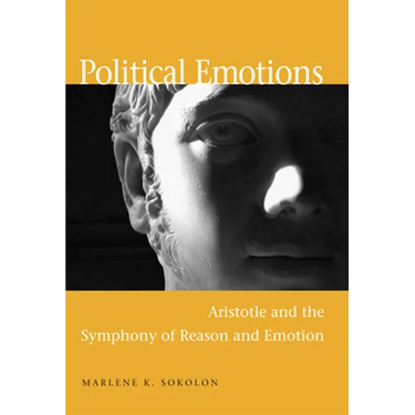 Political Emotions