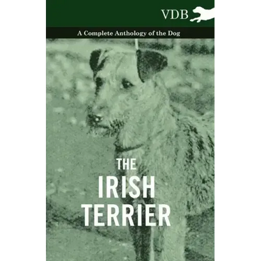 The Irish Terrier - A Complete Anthology of the Dog