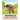 Buffalo Coloring Book For Kids: Awesome Buffalo 30 design Coloring Book for All kids.