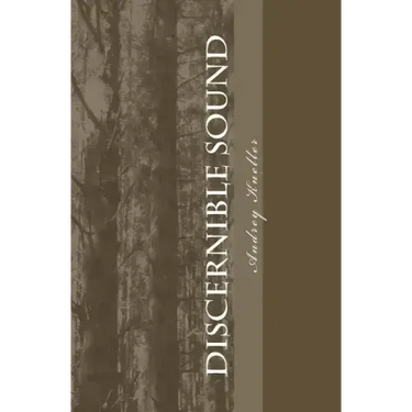 Discernible Sound