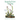 Appalachian Spring