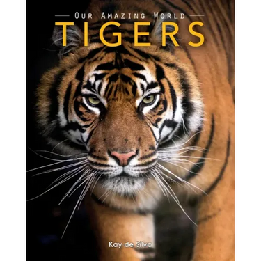 Tigers: Amazing Pictures & Fun Facts on Animals in Nature