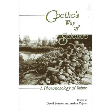 Goethe's Way of Science: A Phenomenology of Nature