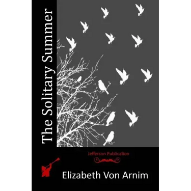The Solitary Summer