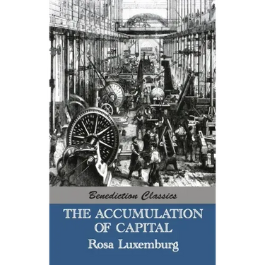 The Accumulation of Capital