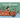 The Little Fire Engine