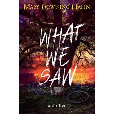 What We Saw: A Thriller