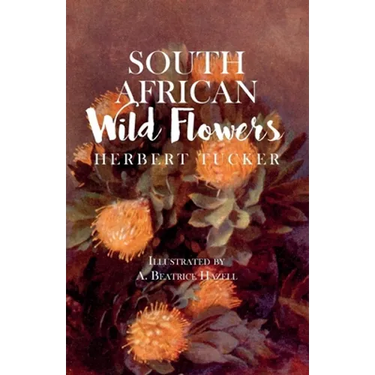 South African Wild Flowers - Illustrated by A. Beatrice Hazell