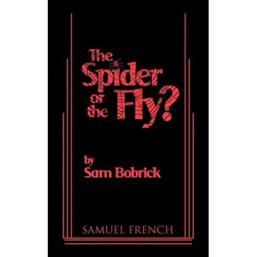 The Spider or the Fly?
