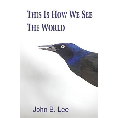 This is How We See the World