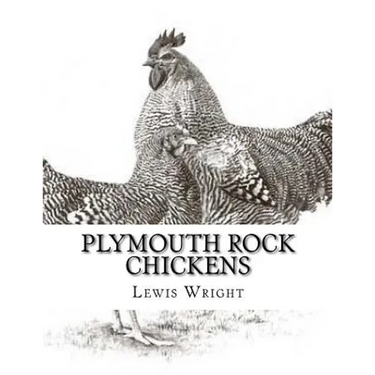 Plymouth Rock Chickens: From The Book of Poultry