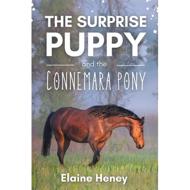 The Surprise Puppy and the Connemara Pony - The Coral Cove Horses Series