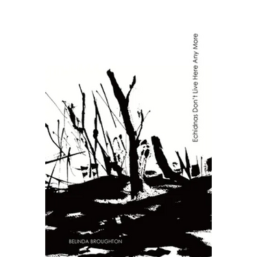Echidnas Don't Live Here Any More: Poems of loss and recovery since the Black Summer bushfires