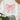 cc4c71fd-7e19-4806-94ab-3e30b99457ca-Max