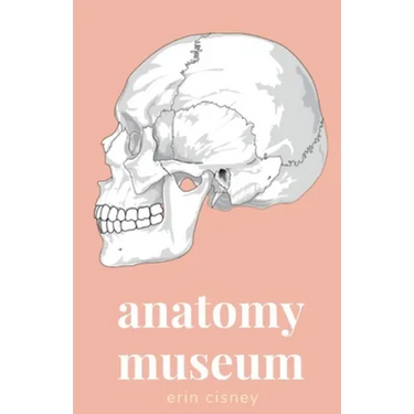 Anatomy Museum