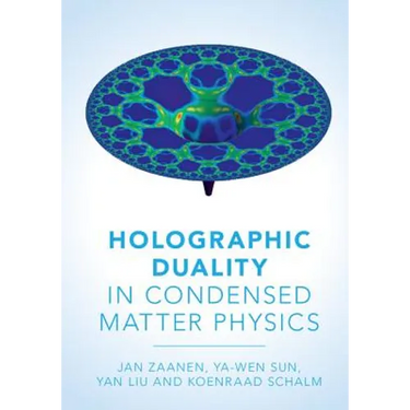 Holographic Duality in Condensed Matter Physics