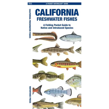 California Freshwater Fishes: A Folding Pocket Guide to Native and Introduced Species