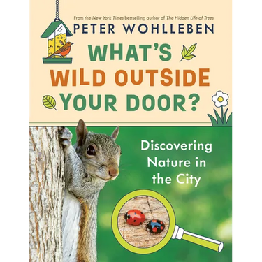 What's Wild Outside Your Door?: Discovering Nature in the City