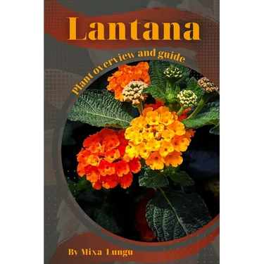 Lantana: Plant overview and guide
