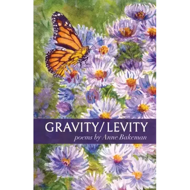 Gravity/Levity
