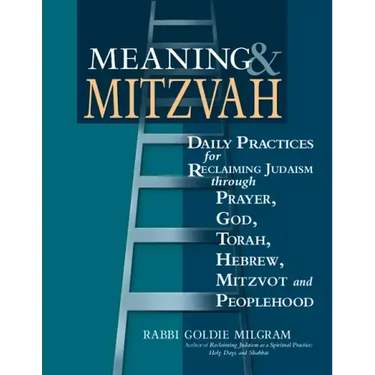Meaning & Mitzvah: Daily Practices for Reclaiming Judaism Through Prayer, God, Torah, Hebrew, Mitzvot and Peoplehood