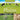 Animals of the Plains Wildlife of the Grasslands Encyclopedias for Children