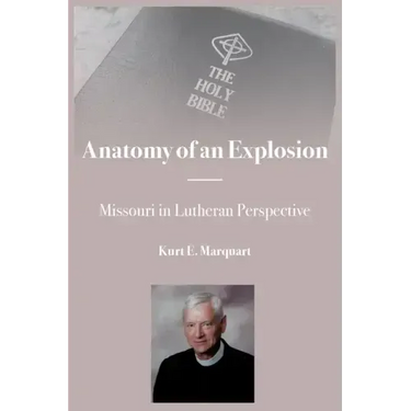 Anatomy of an Explosion