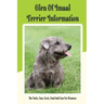 Glen of Imaal Terrier Information: The Traits, Care, Costs, Feed And Cure For Diseases: Treating A Glen Of Imaal Terrier Guide
