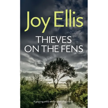 THIEVES ON THE FENS a gripping crime thriller with a huge twist
