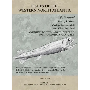 Soft-Rayed Bony Fishes: Orders Isospondyli and Giganturoidei: Part 4