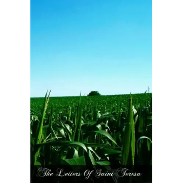 The Letters Of Saint Teresa