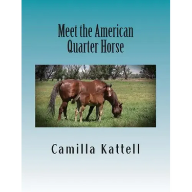 Meet the American Quarter Horse