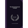 The Spermatogenesis of Hydra