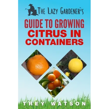 The Lazy Gardener's Guide to Growing Citrus in Containers
