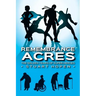 Remembrance Acres: The Golden Years of Super-Heroes