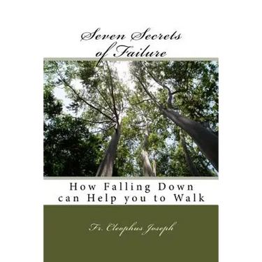 Seven Secrets of Failure: How Falling Down can Help you to Walk