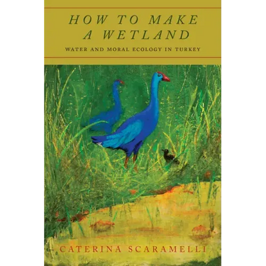 How to Make a Wetland: Water and Moral Ecology in Turkey