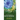 Textbook of Phytochemistry