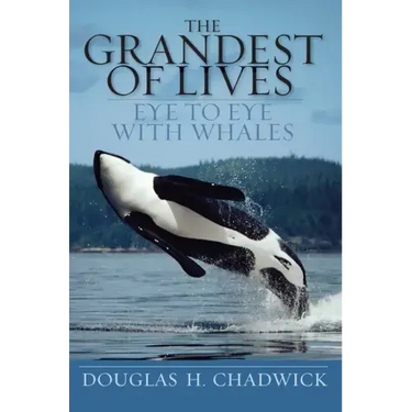 The Grandest of Lives: Eye to Eye with Whales