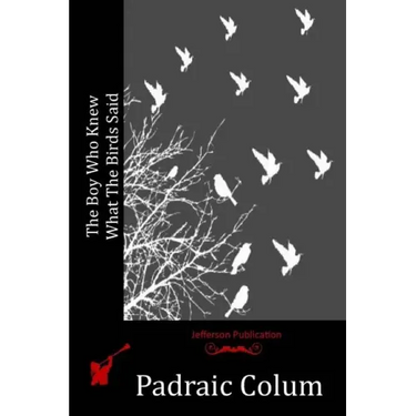 The Boy Who Knew What The Birds Said