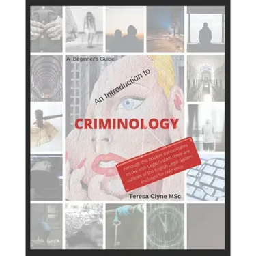 A Beginner's Guide - An Introduction to Criminology: A plain English guide to Criminology