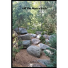 Off The Beaten Path: 4 year Blood Glucose Tracker