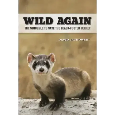 Wild Again: The Struggle to Save the Black-Footed Ferret