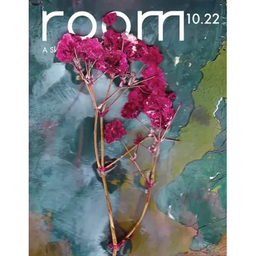 ROOM: A Sketchbook for Analytic Action 10.22