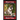Whippet Puppy Training Book for Whippet Puppies By BoneUP DOG Training: Are You Ready to Bone Up? Easy Training * Fast Results Whippet Puppy