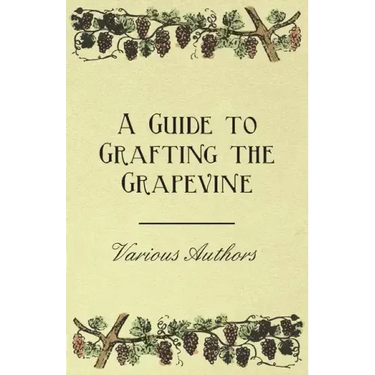 A Guide to Grafting the Grapevine