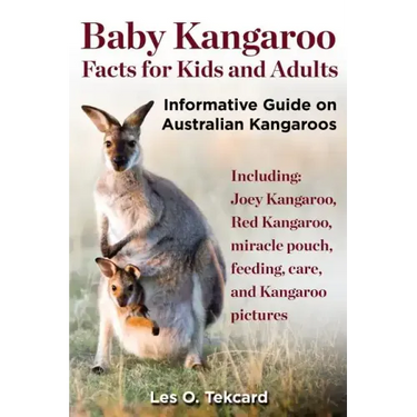 Baby Kangaroo Facts for Kids and Adults