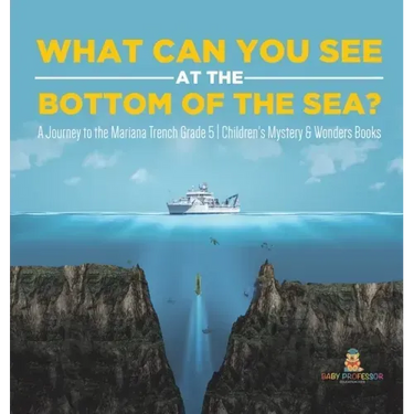 What Can You See in the Bottom of the Sea? A Journey to the Mariana Trench Grade 5 Children's Mystery & Wonders Books