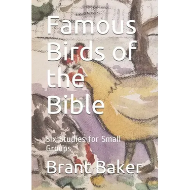 Famous Birds of the Bible: Six Studies for Small Groups